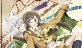 动漫肉嫁高柳家在线观看,一场跨越次元的甜蜜邂逅